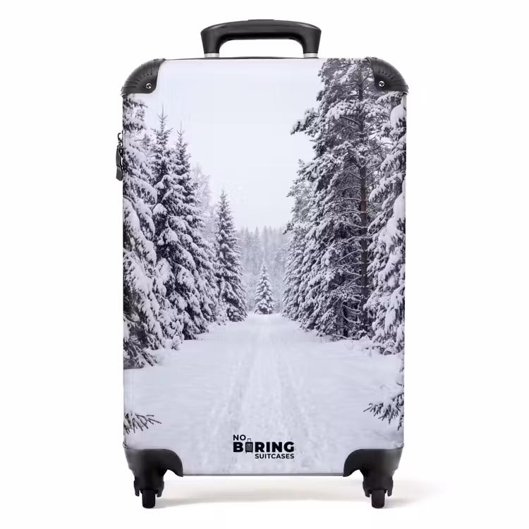 Koffer - Bos - Winter - Sneeuw - Pad - Natuur — 1