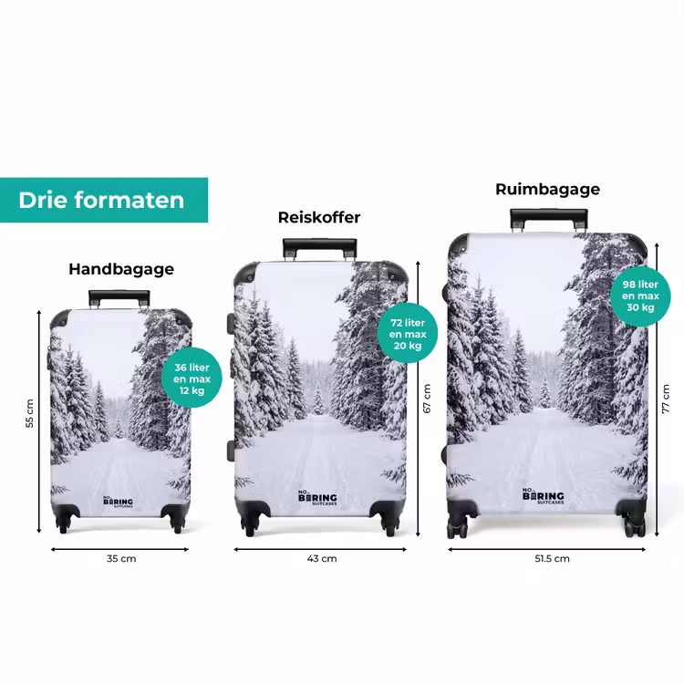 Koffer - Bos - Winter - Sneeuw - Pad - Natuur — 8