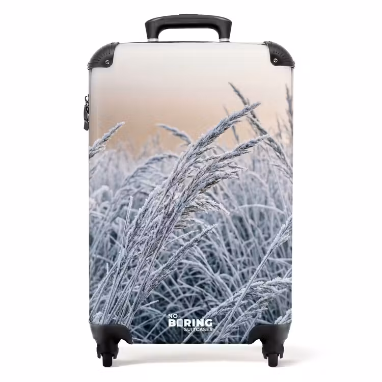 Koffer - Rijp - Gras - Kristallen - Winter - Minimalistisch — 1