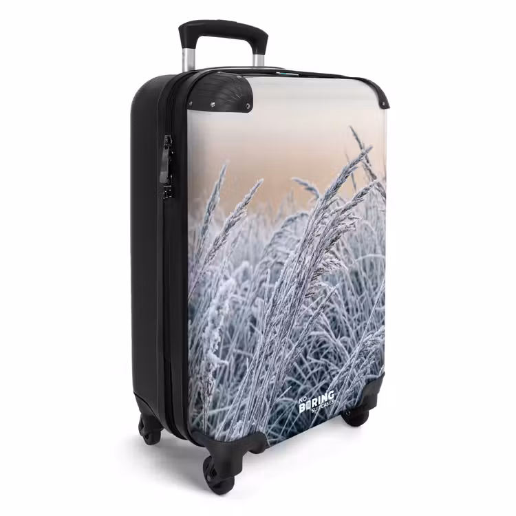 Koffer - Rijp - Gras - Kristallen - Winter - Minimalistisch — 2