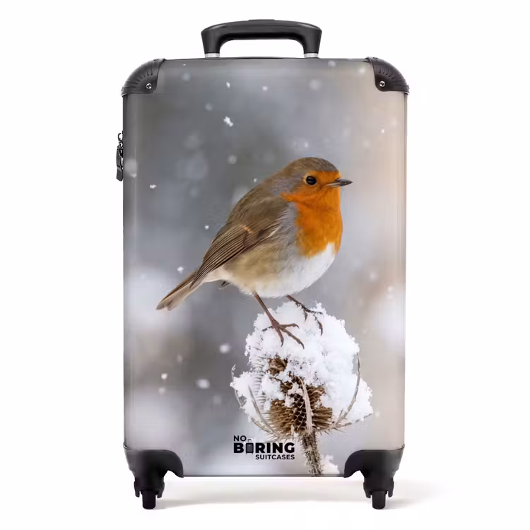Koffer - Roodborstje - Gedroogde bloem - Sneeuw - Winter - Vertederend — 1