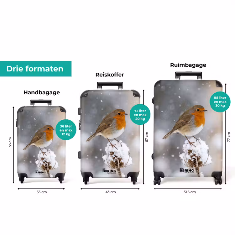 Koffer - Roodborstje - Gedroogde bloem - Sneeuw - Winter - Vertederend — 8