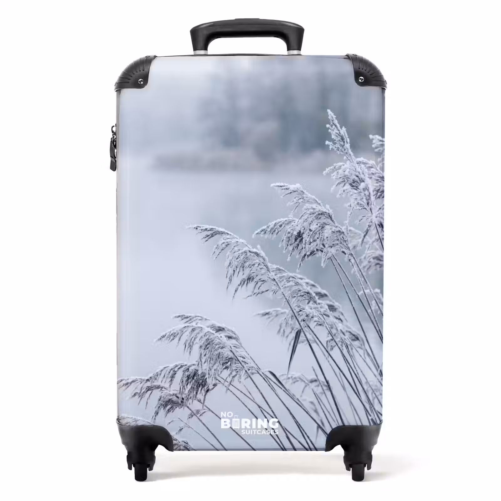 Koffer - Riet - Bevroren - Winter - Natuur — 1