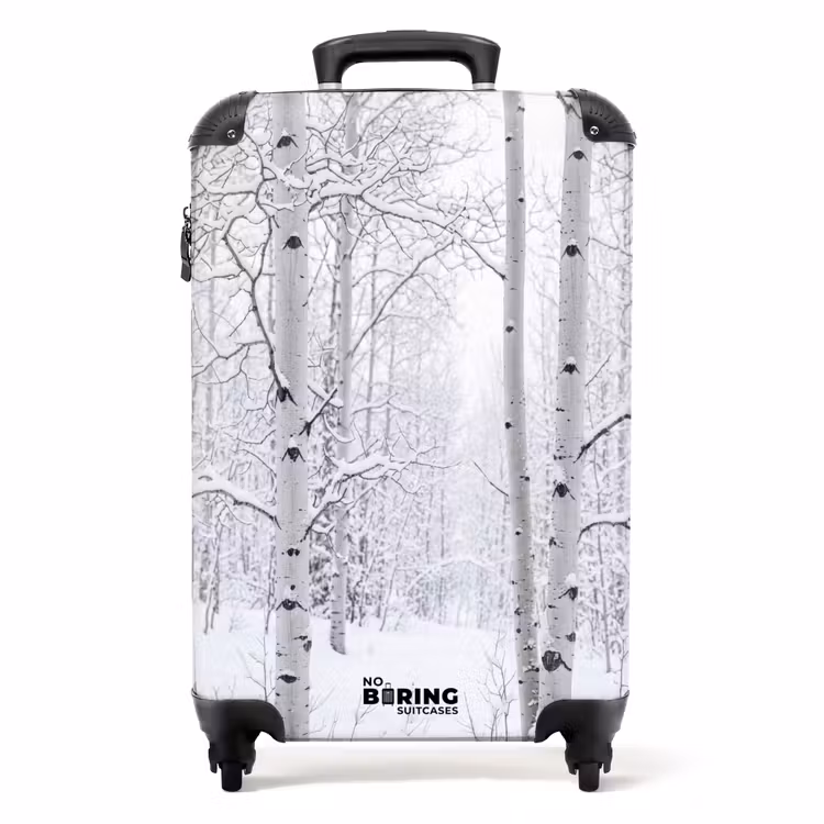 Koffer - Berkenbomen - Sneeuw - Winter - Bos - Wit — 1