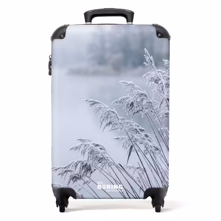 Koffer - Riet - Bevroren - Winter - Natuur — 1