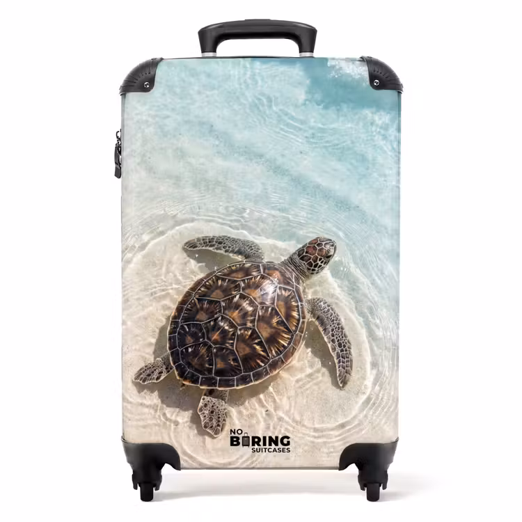 Koffer - Schildpad - Helder water - Strand - Dieren - Natuur — 1