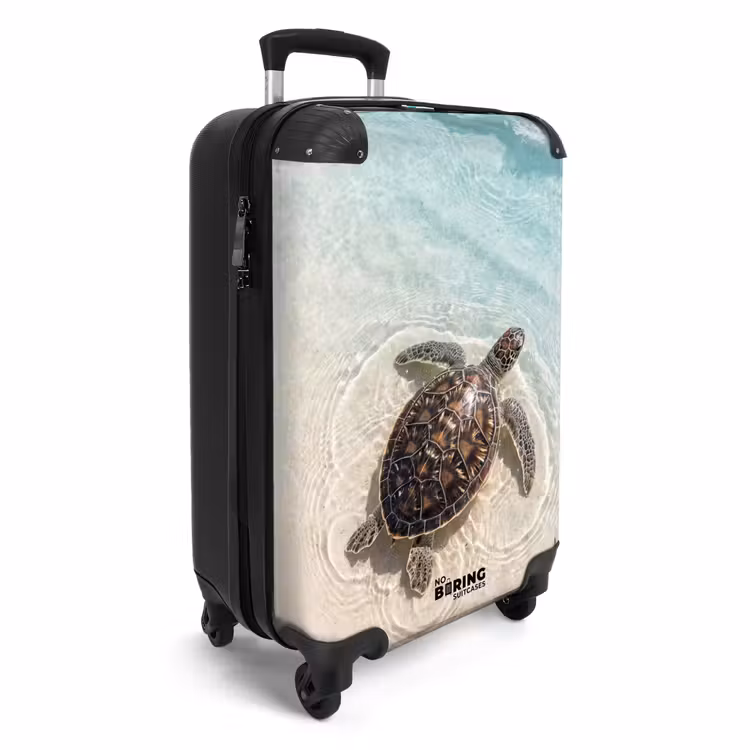 Koffer - Schildpad - Helder water - Strand - Dieren - Natuur — 2