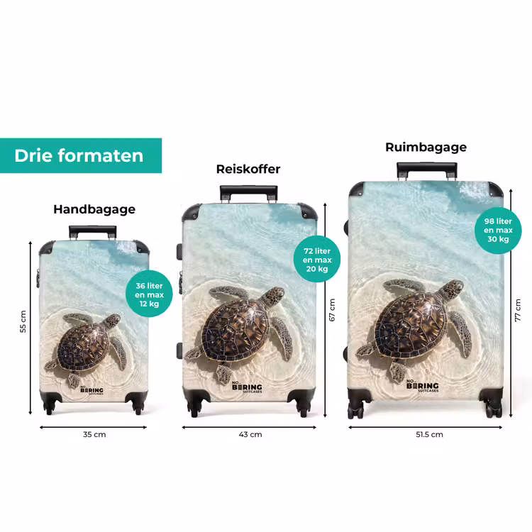 Koffer - Schildpad - Helder water - Strand - Dieren - Natuur — 8