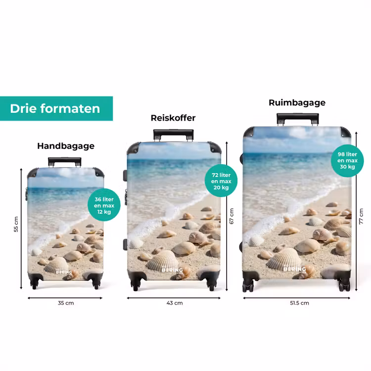 Koffer - Schelpen - Strand - Natuur - Beige — 8