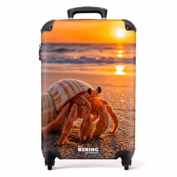 Koffer - Kreeft - Strand - Natuur - Zonsondergang - Oranje — 1
