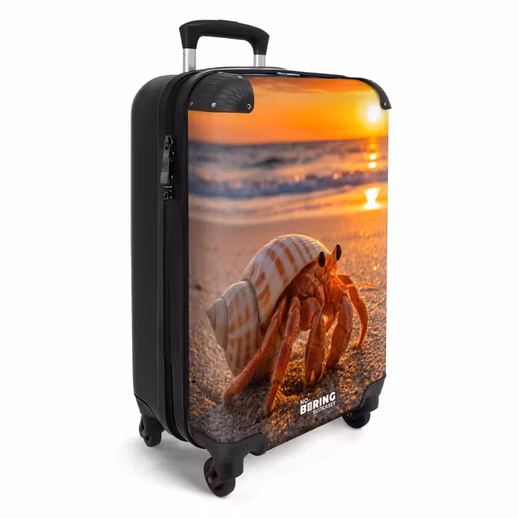 Koffer - Kreeft - Strand - Natuur - Zonsondergang - Oranje — 2