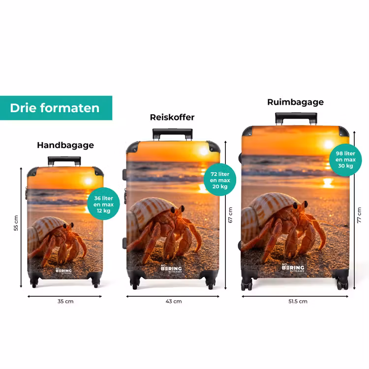 Koffer - Kreeft - Strand - Natuur - Zonsondergang - Oranje — 8