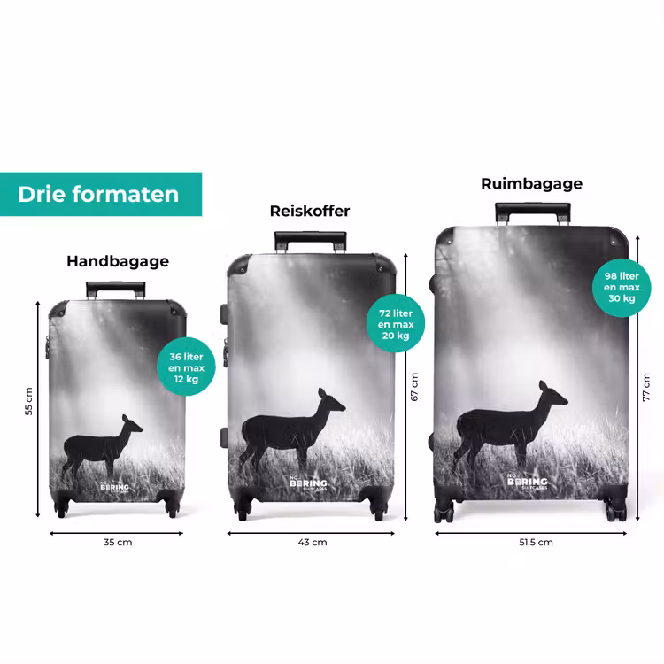 Koffer - Hert - Bos - Zonnestralen - Zwart-wit - Natuur — 8