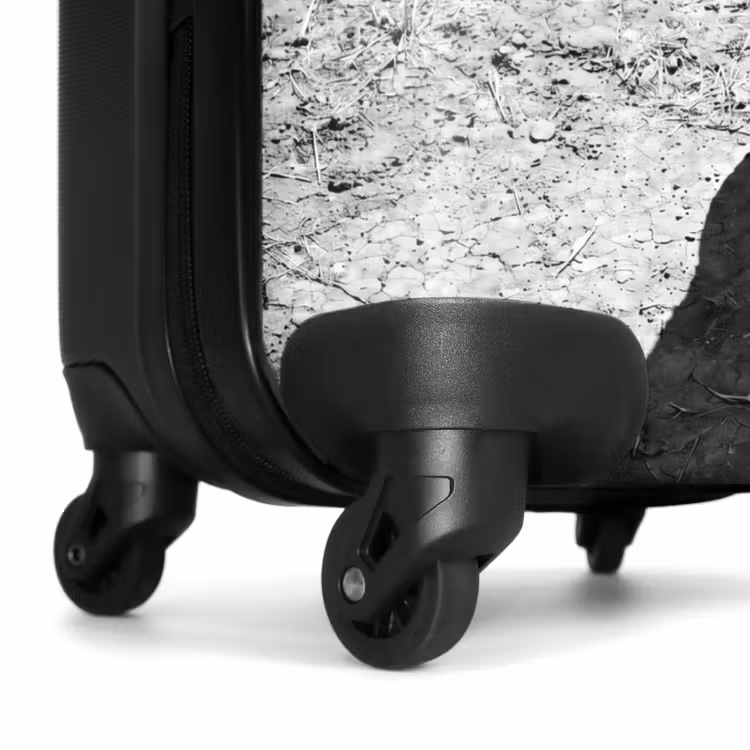 Koffer - Stier - Schaduw - Dieren - Contrast - Zwart-wit — 6