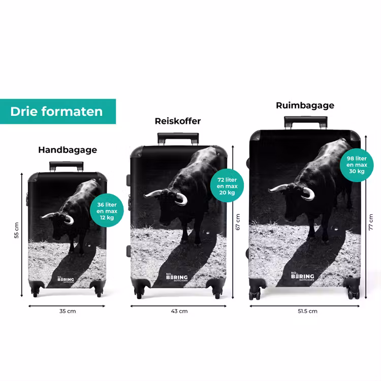 Koffer - Stier - Schaduw - Dieren - Contrast - Zwart-wit — 8