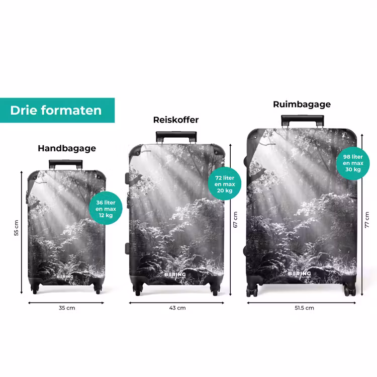 Koffer - Bos - Lichtstralen - Natuur - Zwart-wit — 8