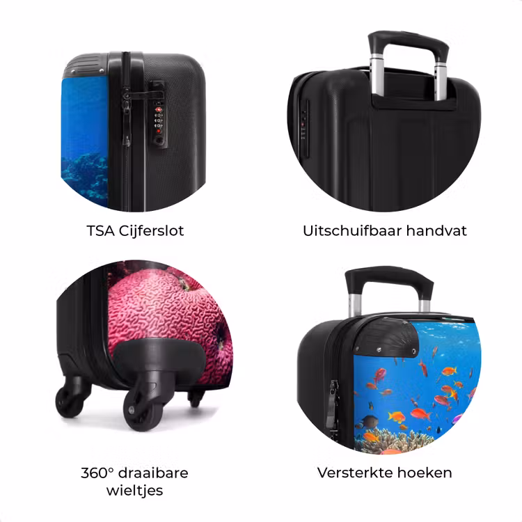 Koffer - Koraal - Vissen - Oceaan - Natuur - Kleurrijk — 7