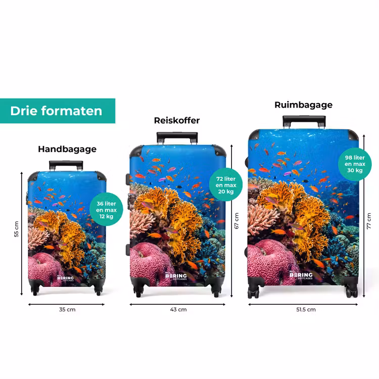 Koffer - Koraal - Vissen - Oceaan - Natuur - Kleurrijk — 8