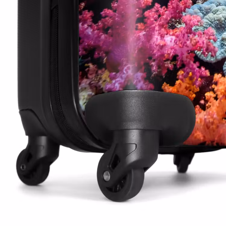Koffer - Onderwater - Koraalrif - Vissen - Oceaan - Natuur — 6
