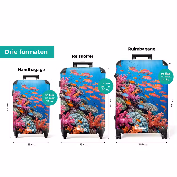 Koffer - Onderwater - Koraalrif - Vissen - Oceaan - Natuur — 8