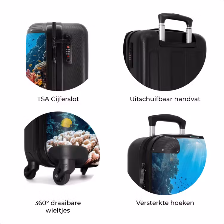 Koffer - Zee - Koraalrif - Natuur - Levendig - Blauw — 7