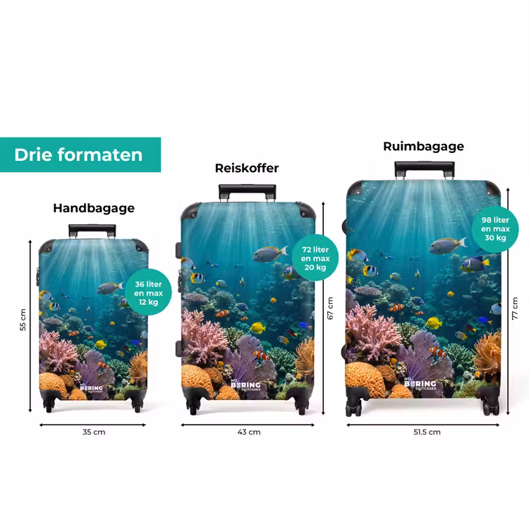 Koffer - Vis - Koraal - Oceaan - Natuur - Kleurrijk — 8