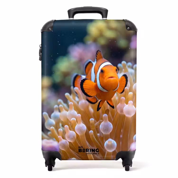 Koffer - Vis - Koraal - Onderwater - Oranje - Dieren — 1