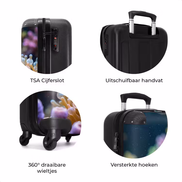 Koffer - Vis - Koraal - Onderwater - Oranje - Dieren — 7