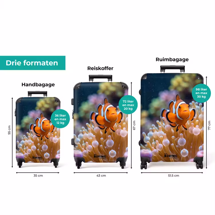 Koffer - Vis - Koraal - Onderwater - Oranje - Dieren — 8