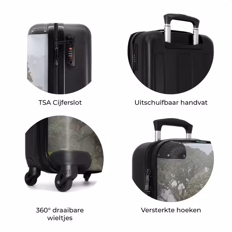 Koffer - Boom - Mistig - Bos - Groen - Natuur — 7