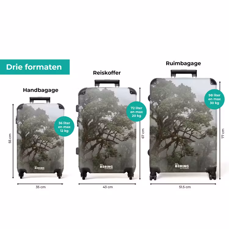 Koffer - Boom - Mistig - Bos - Groen - Natuur — 8