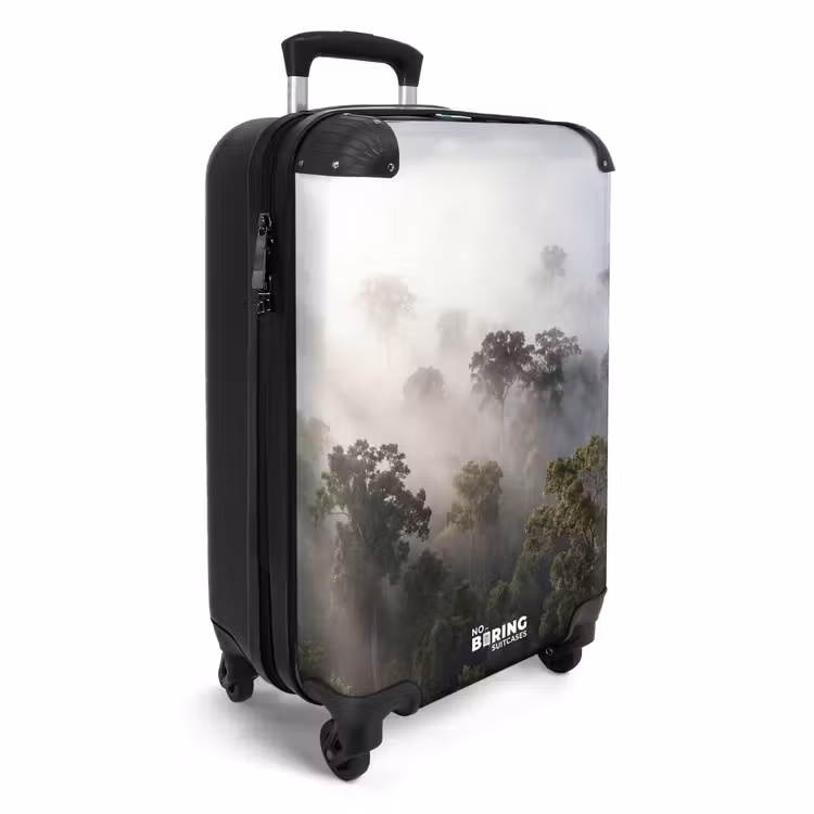 Koffer - Bos - Mist - Natuur - Groen — 2