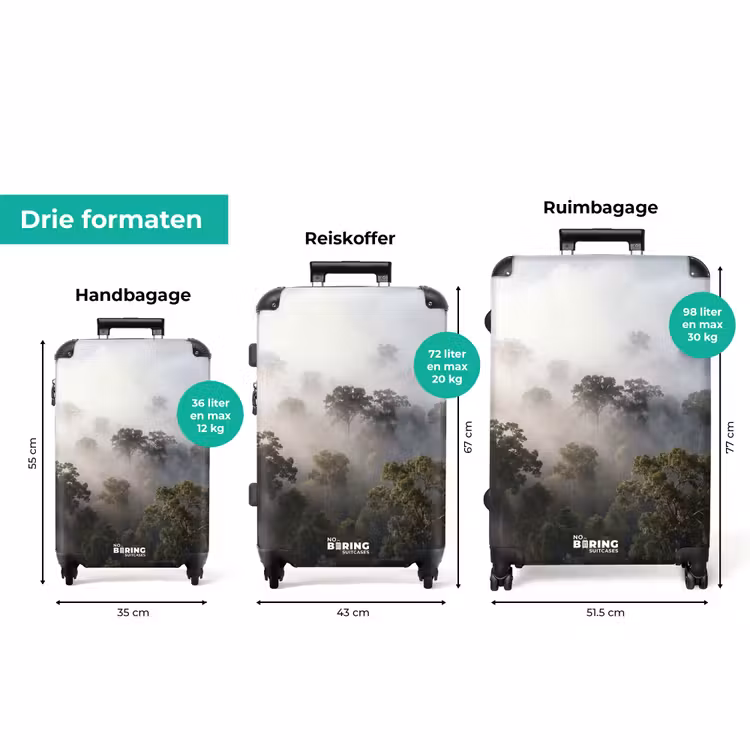 Koffer - Bos - Mist - Natuur - Groen — 8
