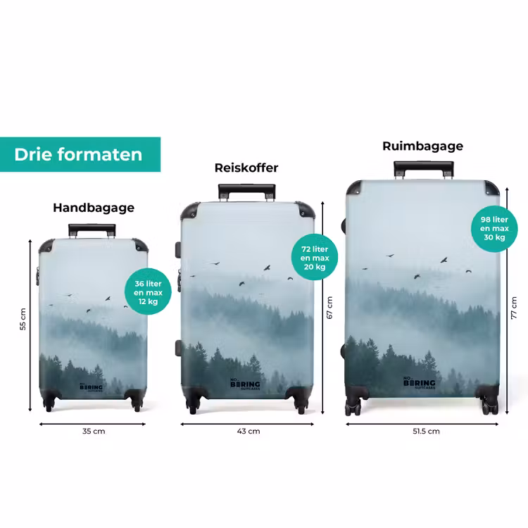 Koffer - Bos - Mist - Vogels - Natuur - Groen — 8