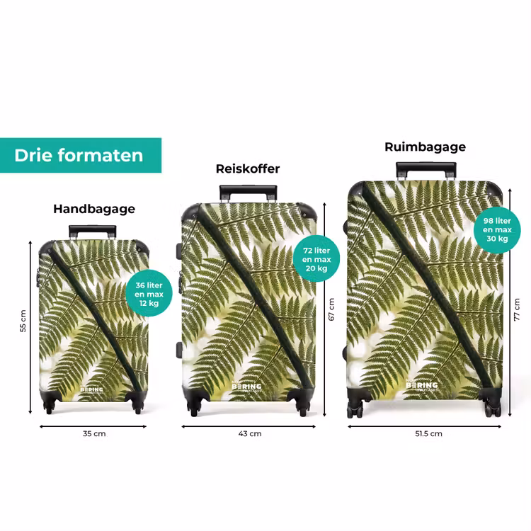 Koffer - Plant - Blad - Natuur - Groen - Detail — 8