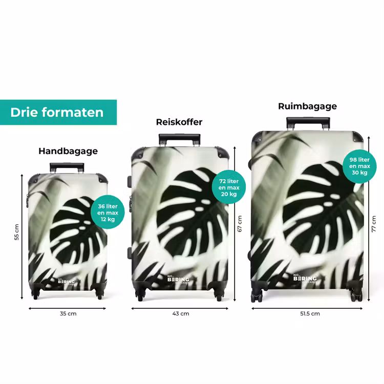 Koffer - Planten - Bladeren - Natuur - Minimalistisch - Groen — 8