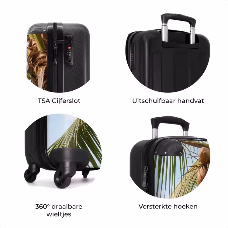 Koffer - Kokosnoot - Boom - Tropisch - Natuur - Groen — 7