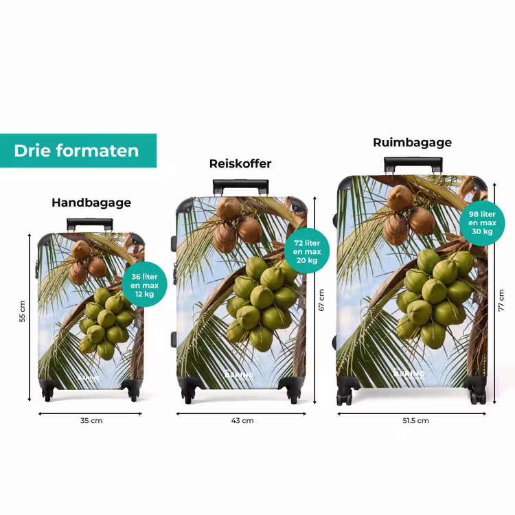 Koffer - Kokosnoot - Boom - Tropisch - Natuur - Groen — 8
