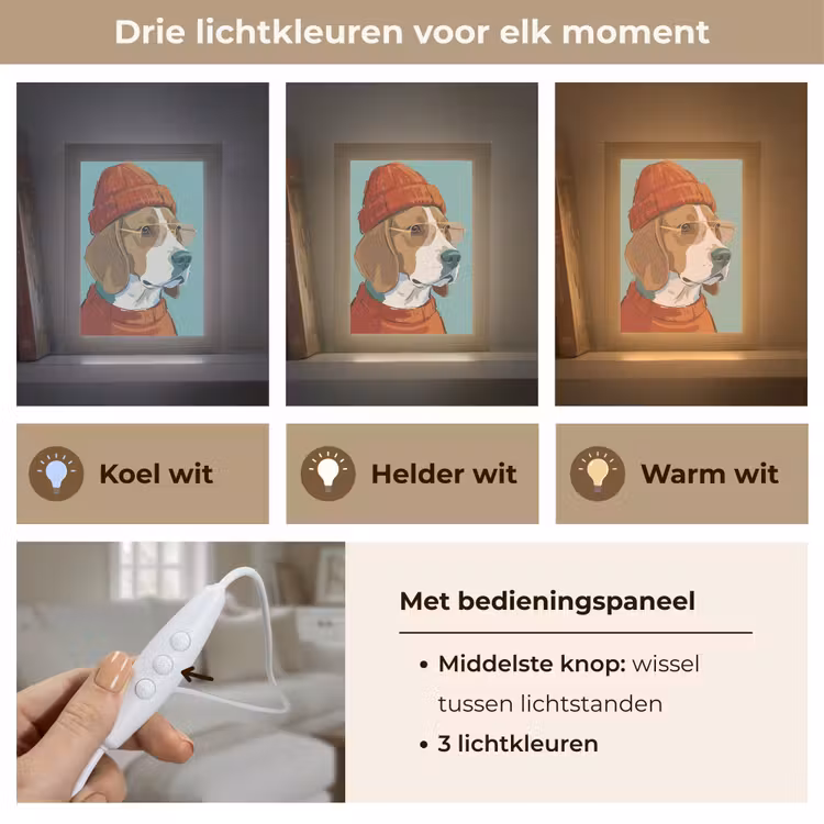 Gepersonaliseerde Lightbox - Hond - Beanie - Zonnebril - Dieren - Modern — 6