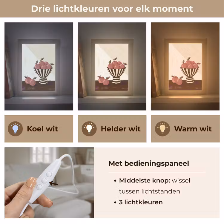 Gepersonaliseerde Lightbox - Eten - Schaal - Stilleven - Modern - Rood — 6