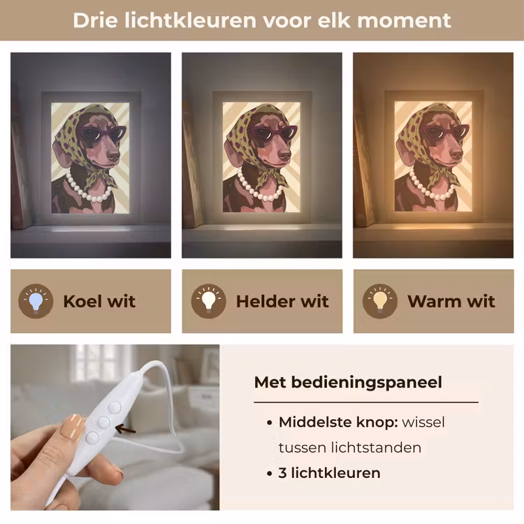 Gepersonaliseerde Lightbox - Hond - Zonnebril - Hoofddoek - Dieren - Modern — 6