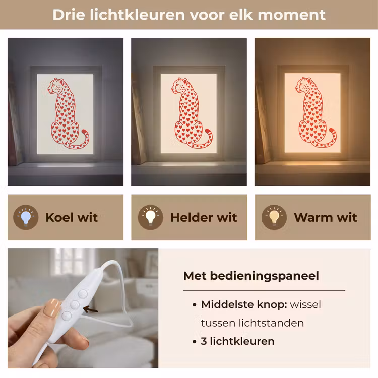 Gepersonaliseerde Lightbox - Kat - Harten - Dieren - Modern - Rood — 6