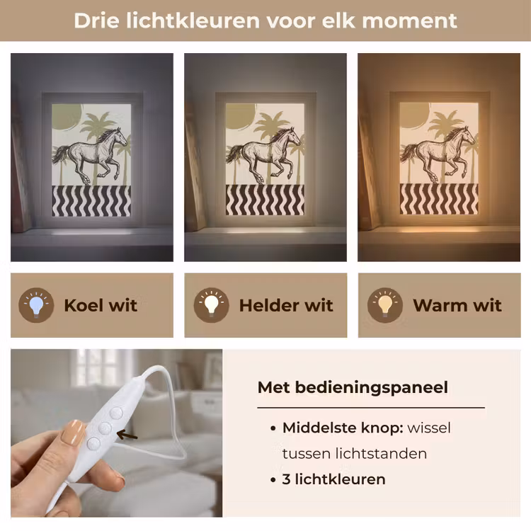 Gepersonaliseerde Lightbox - Paard - Galopperend - Woestijn - Illustratie — 6