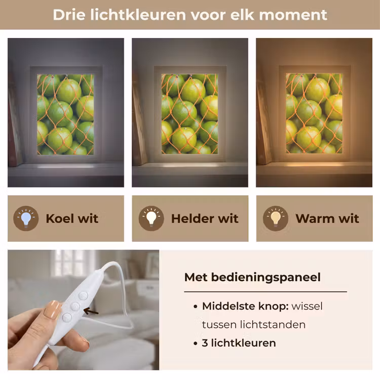 Gepersonaliseerde Lightbox - Eten - Net - Groen - Markt — 6