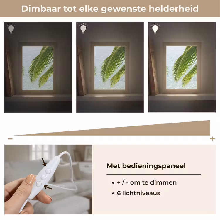 Gepersonaliseerde Lightbox - Boom - Bladeren - Water - Tropisch - Groen — 8