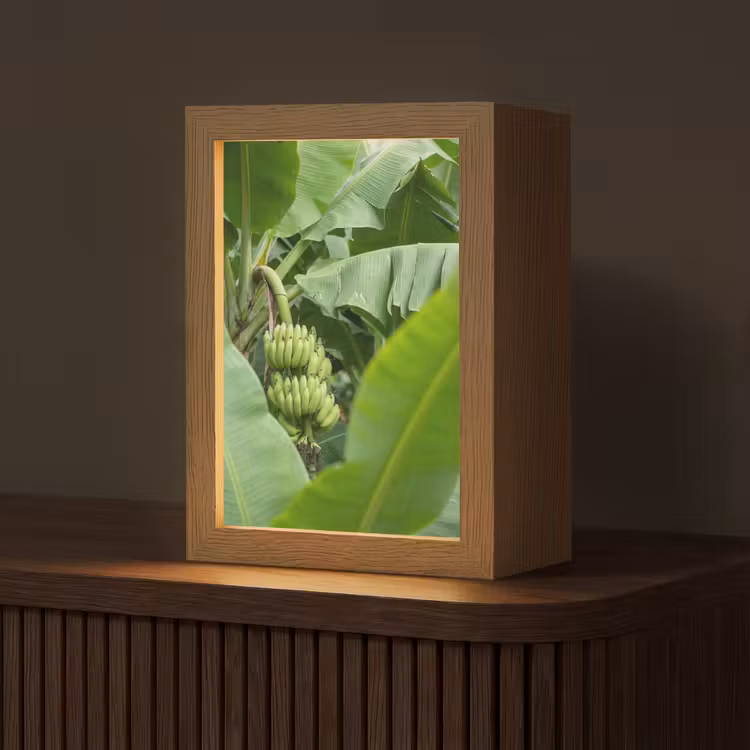 Gepersonaliseerde Lightbox - Eten - Bananen - Plantage - Groen — 1