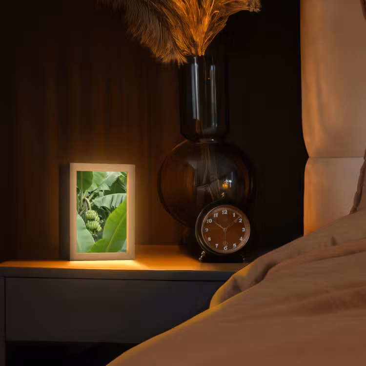 Gepersonaliseerde Lightbox - Eten - Bananen - Plantage - Groen — 2