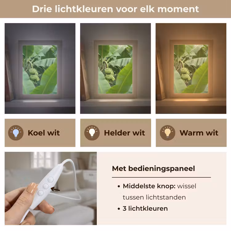 Gepersonaliseerde Lightbox - Eten - Bananen - Plantage - Groen — 6