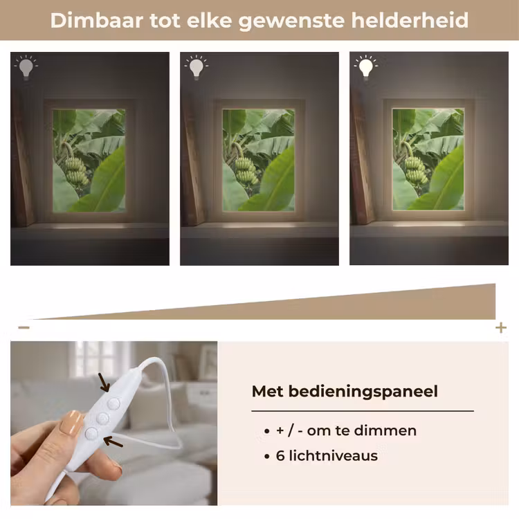 Gepersonaliseerde Lightbox - Eten - Bananen - Plantage - Groen — 8