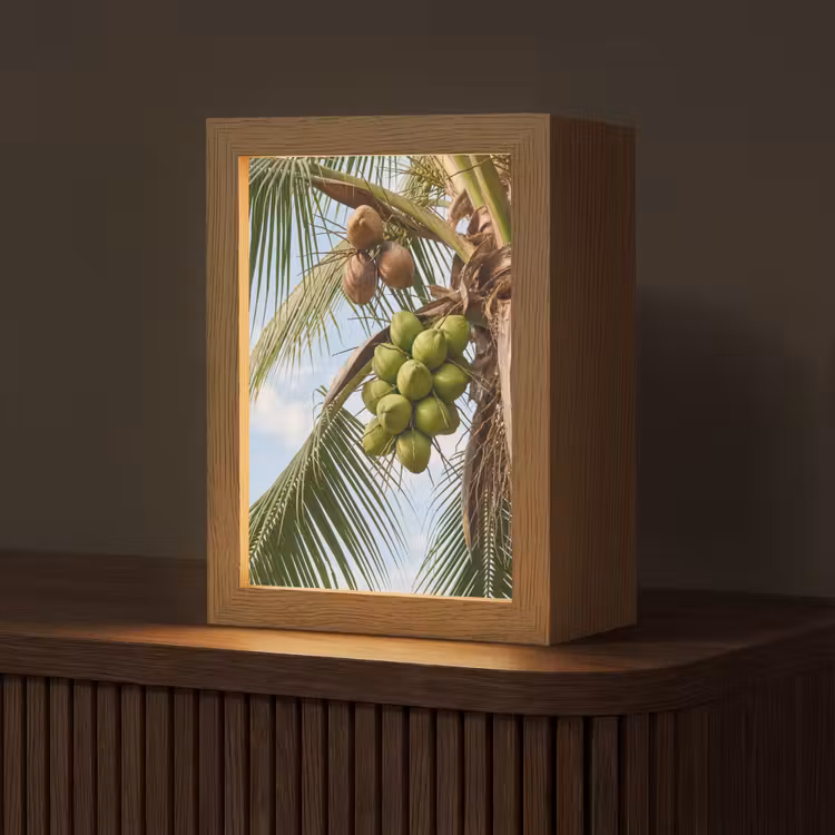 Gepersonaliseerde Lightbox - Kokosnoot - Boom - Tropisch - Natuur - Groen — 1